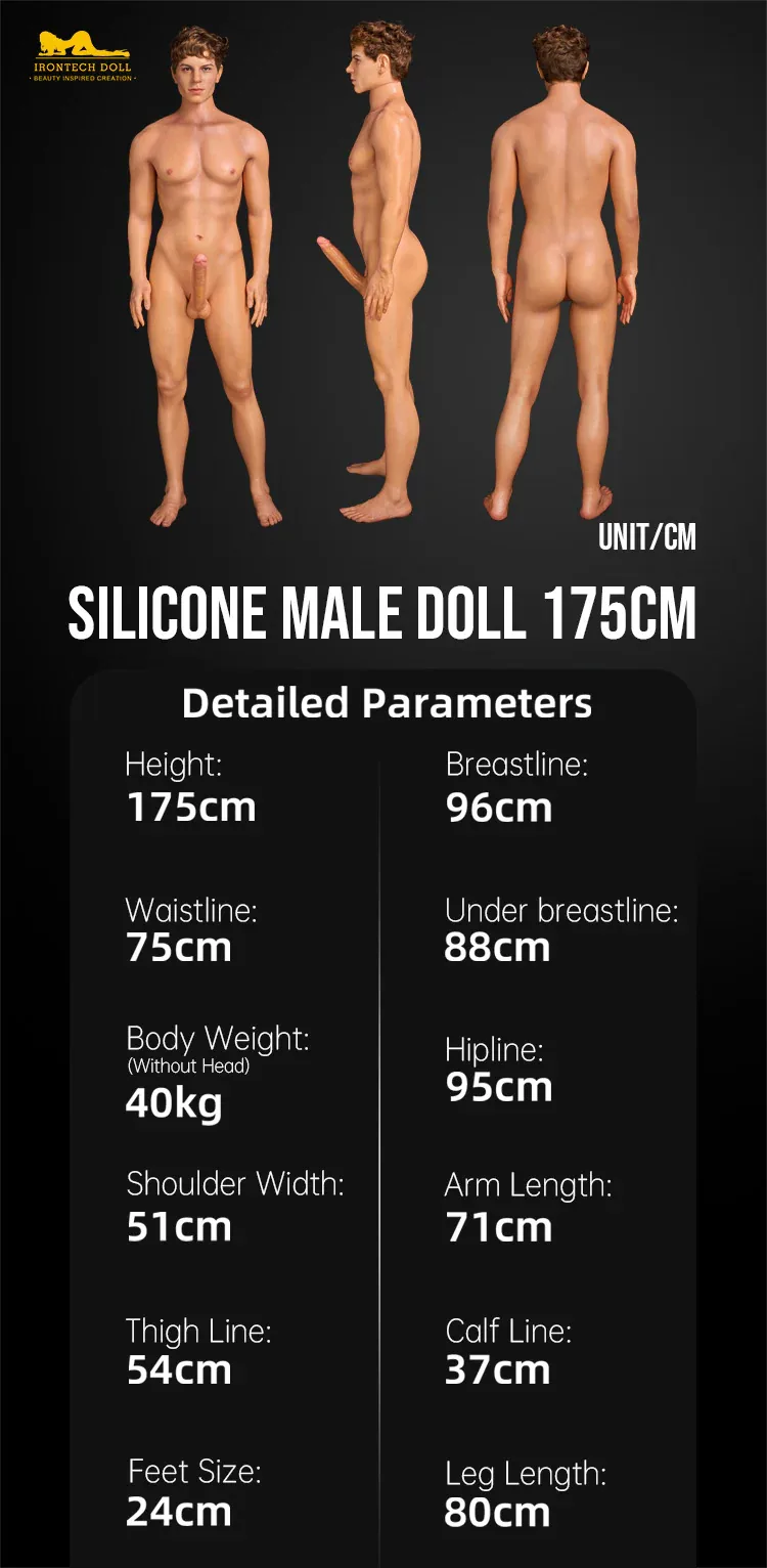 Irontech Sex Doll_Doll Measurements